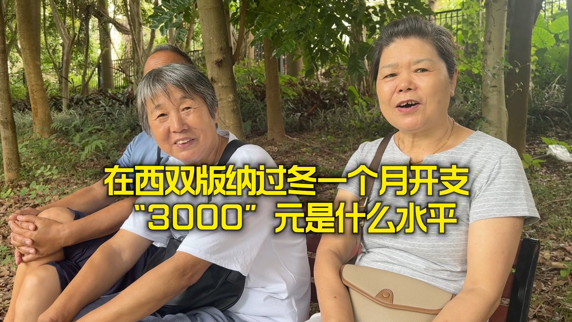 在西双版纳过冬一个月开支“3000”元是什么生活水平!哔哩哔哩bilibili