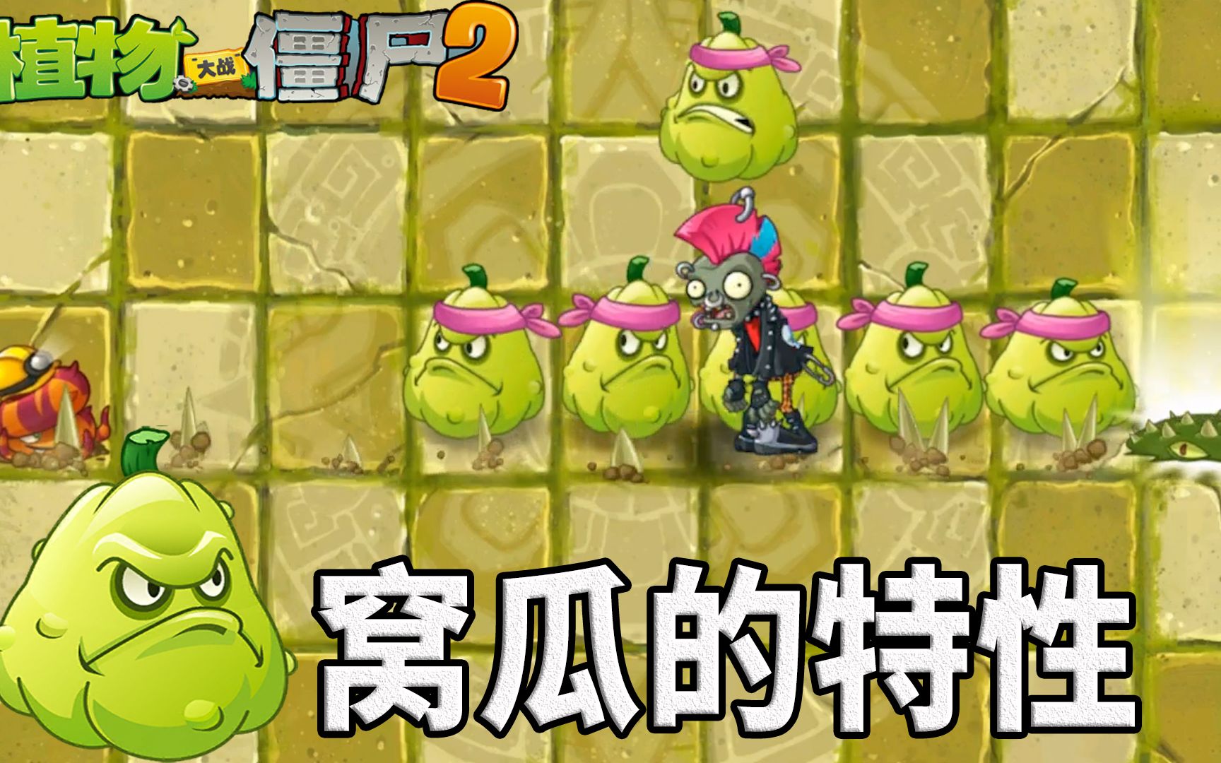 Pvz2窝瓜的奇妙特性 就这么喜欢套路窝瓜?哔哩哔哩bilibili