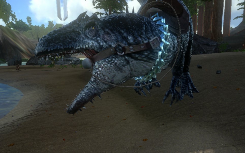 (方舟)我终于是有南巨的人了