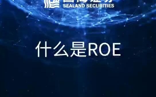 【国海证券】什么是ROE哔哩哔哩bilibili