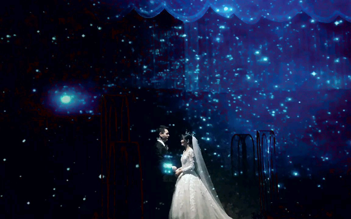 创意全息婚礼美的一塌糊涂_哔哩哔哩)つロ 干杯-bilibili