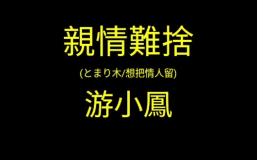 [图]*游小鳳—親情難捨(想把情人留台語版)/(原曲:小林幸子-とまり木)/遙遠的相思/懷念故鄉的伊/伊人喚不回/憂慮又奈何/斜陽殘照/湖邊戀情/秋的憶念/良人喚不回