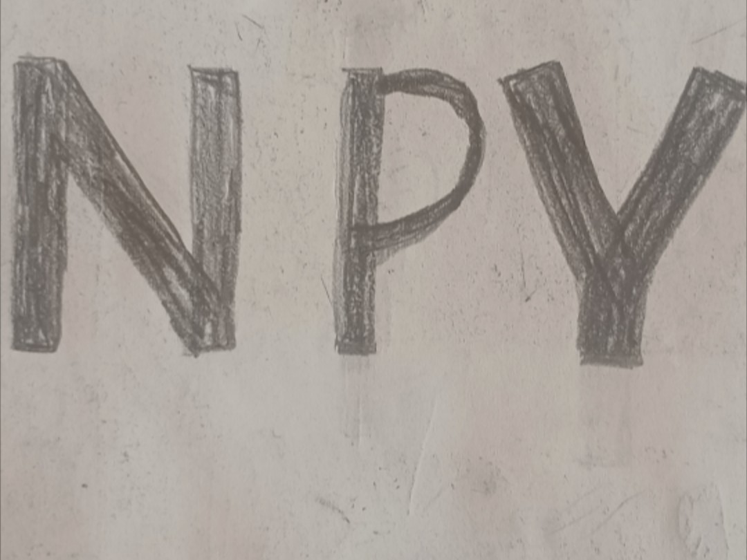 NPY是什么？它有什么作用和影响？  第1张
