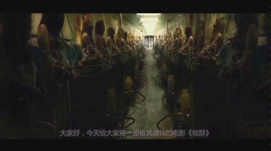 [图]【牧群】无数女人被囚禁虐待，受尽各种折磨沦为生孩子的工具