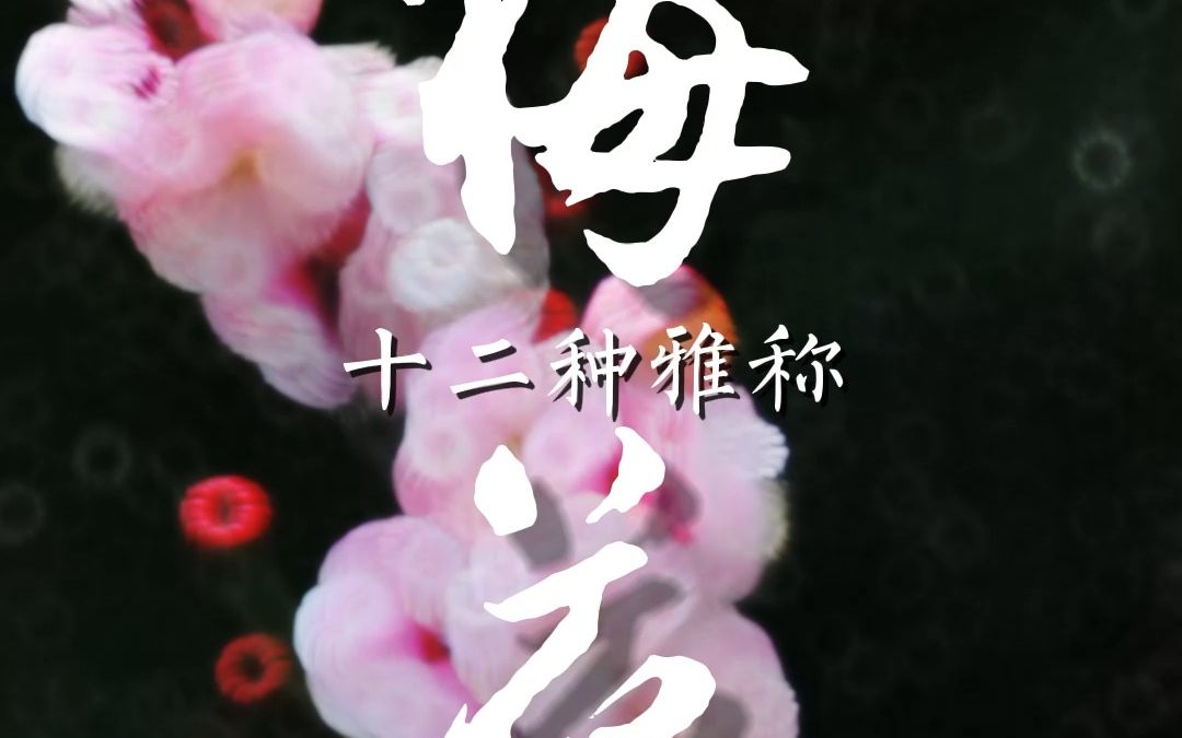 [图]疏影，暗香，才有梅花便不同，关于梅花的雅称，你知道几个呢？