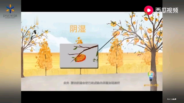 雾的成因(转载)哔哩哔哩bilibili