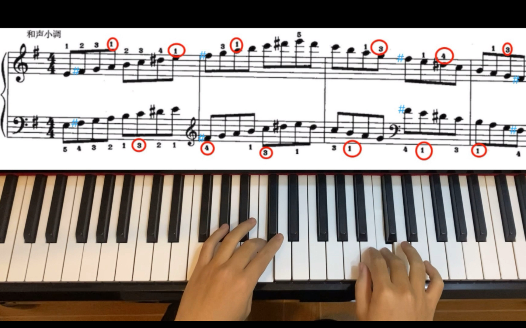 钢琴基础练习e小调音阶,和弦,琶音,看看和其他的调有啥不一样
