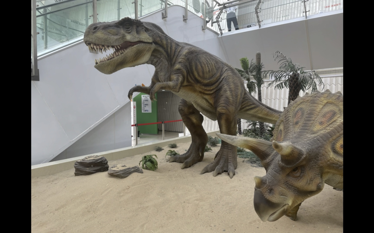 恐龙博物馆照片图片