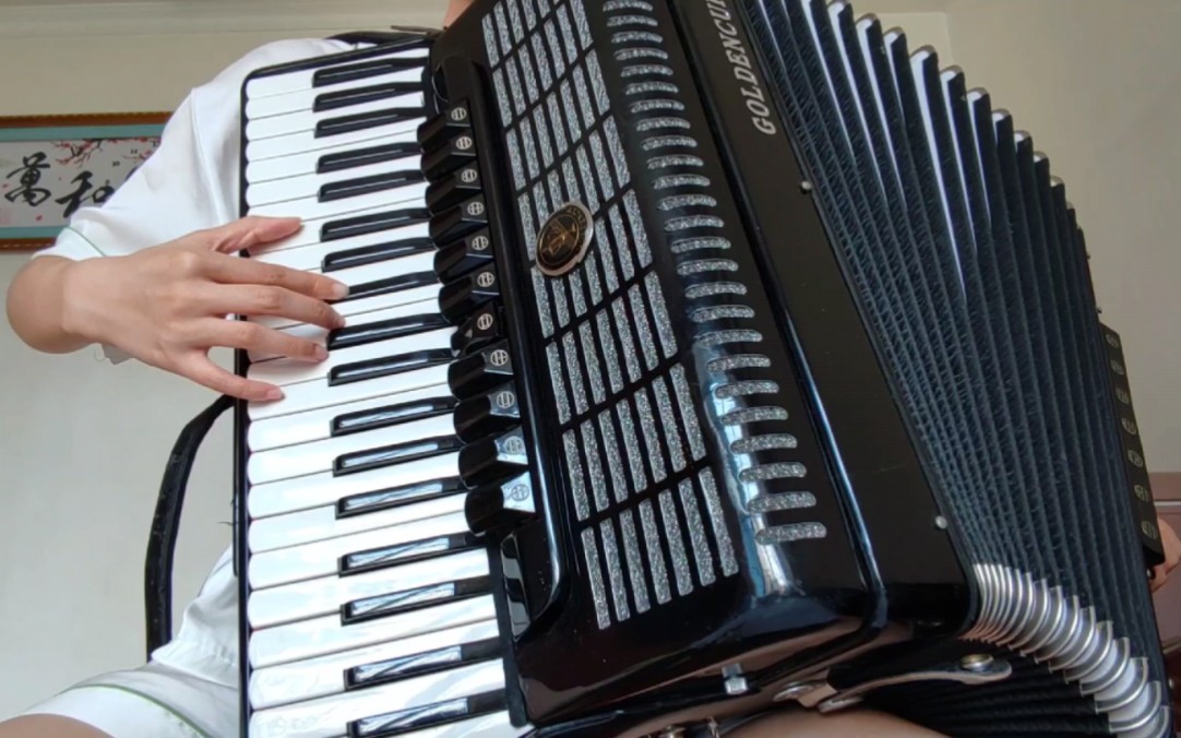 手风琴61《萱草花》