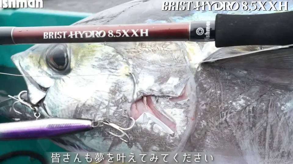 FISHMAN BRIST COMODO 7.5H 東京湾海鱸~_哔哩哔哩_bilibili