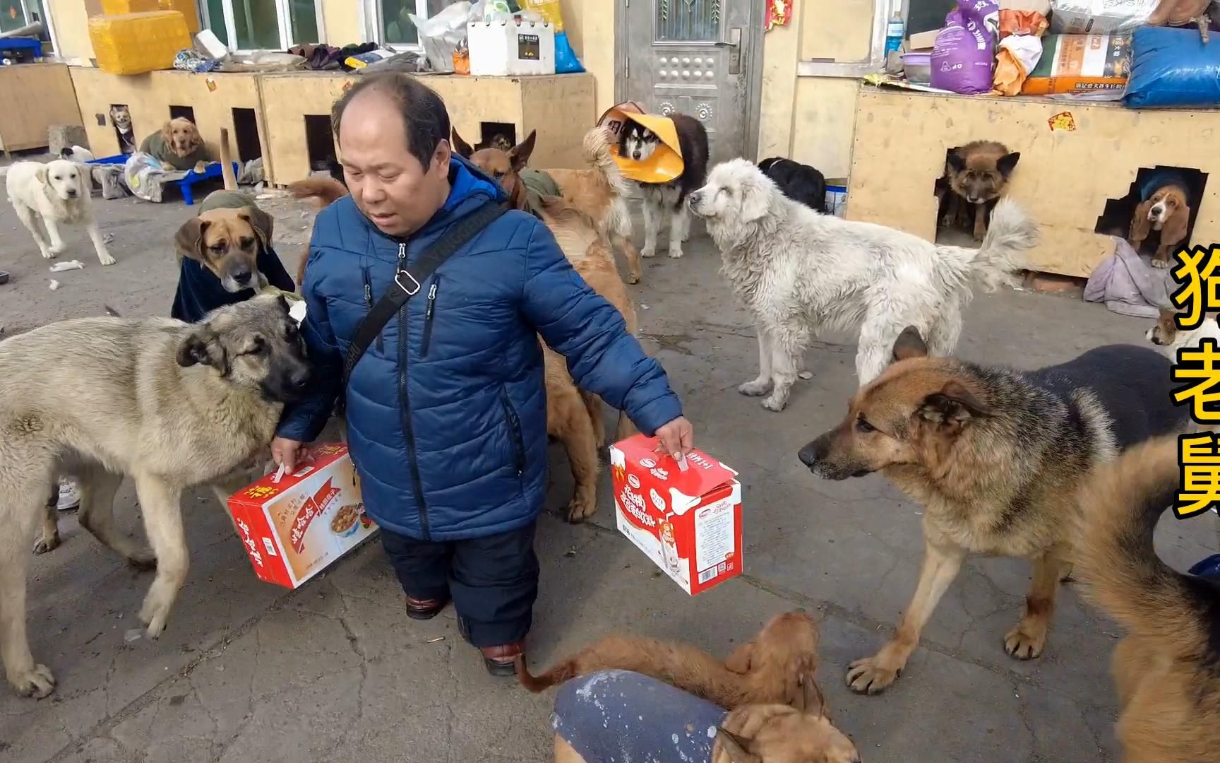 流浪狗基地小迟住院,老舅带上爱心补品去探望,希望早日康复哔哩哔哩bilibili