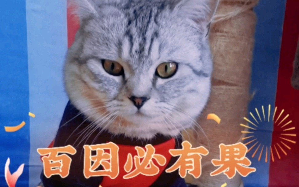 百因必有果_哔哩哔哩 (゜-゜)つロ 干杯~-bilibili