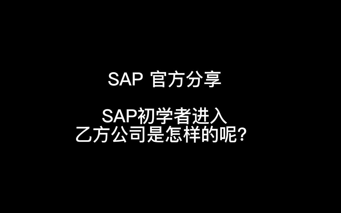 SAP初学者进入乙方公司是怎样的呢?哔哩哔哩bilibili