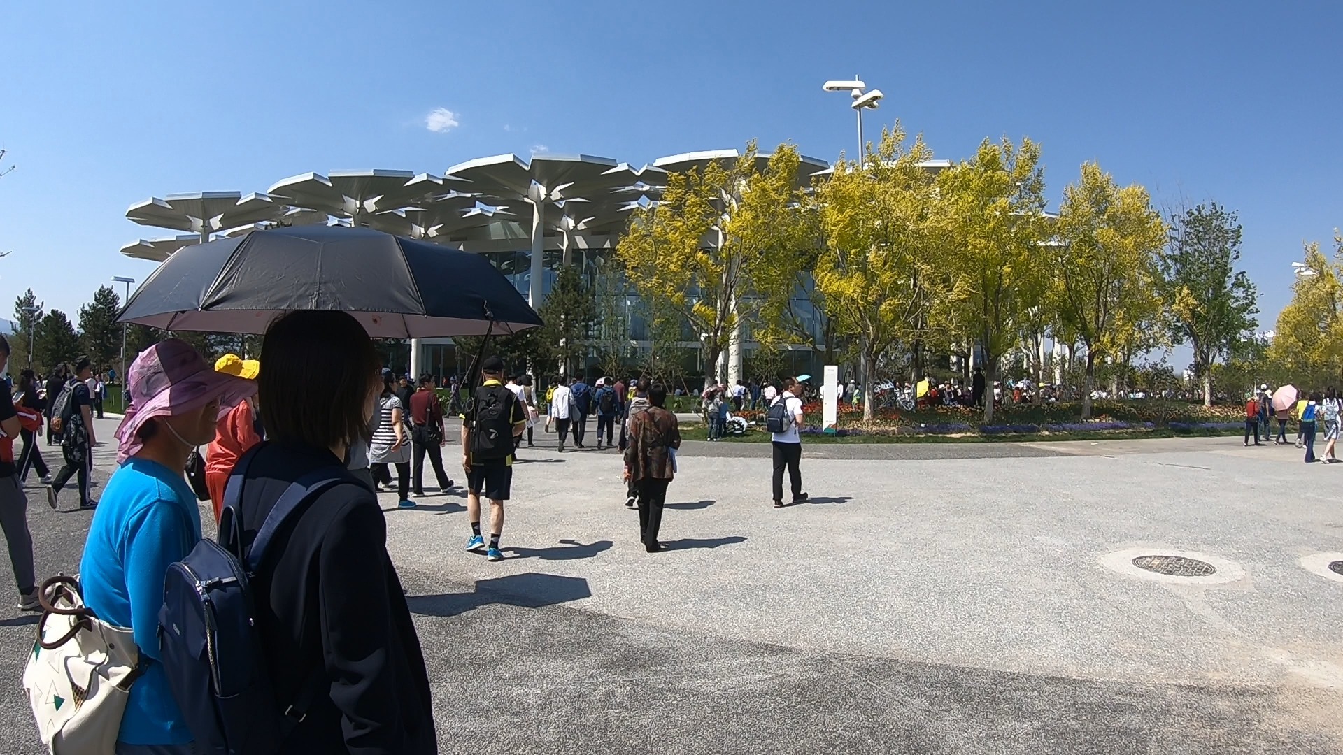 北京世园公园一日游