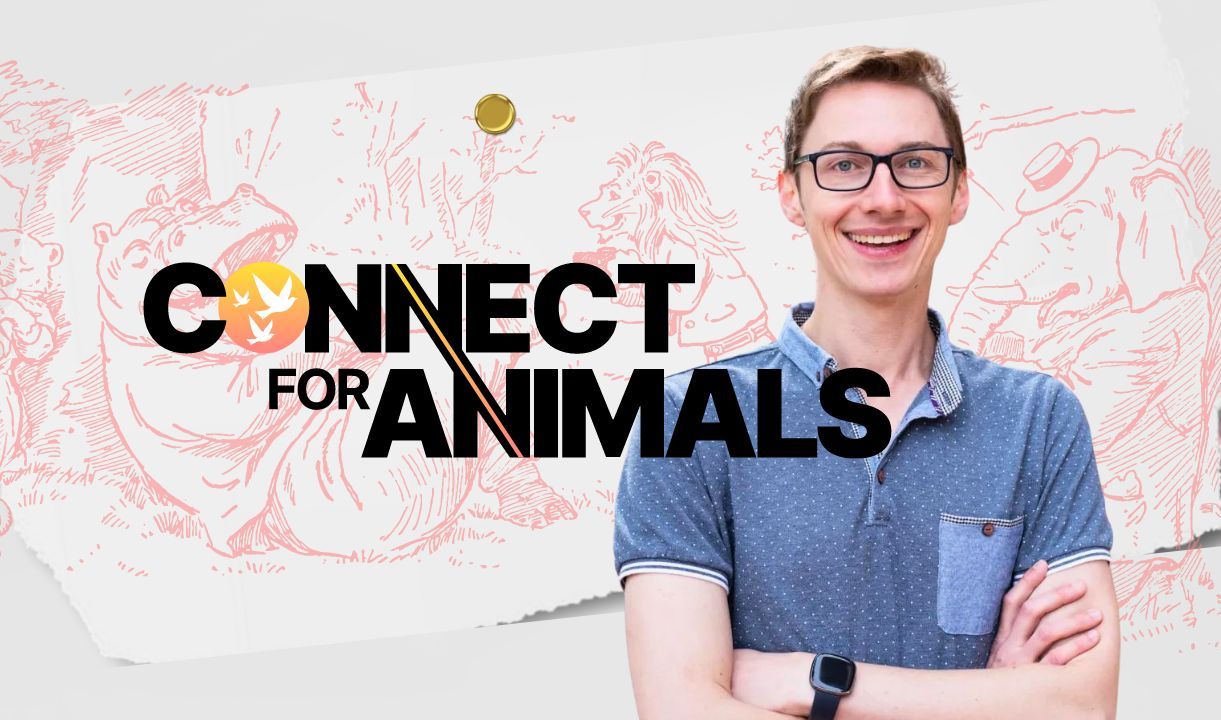 行动者系列|Steven Rouk|Connect for Animals哔哩哔哩bilibili