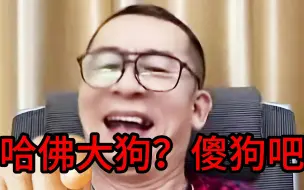 Descargar video: 哈佛大狗？傻狗吧