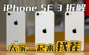 【享拆】iPhone SE3 拆解：我不是目标用户~