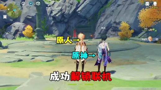 原人竟然也可以联机了?看我如何整活!_原神