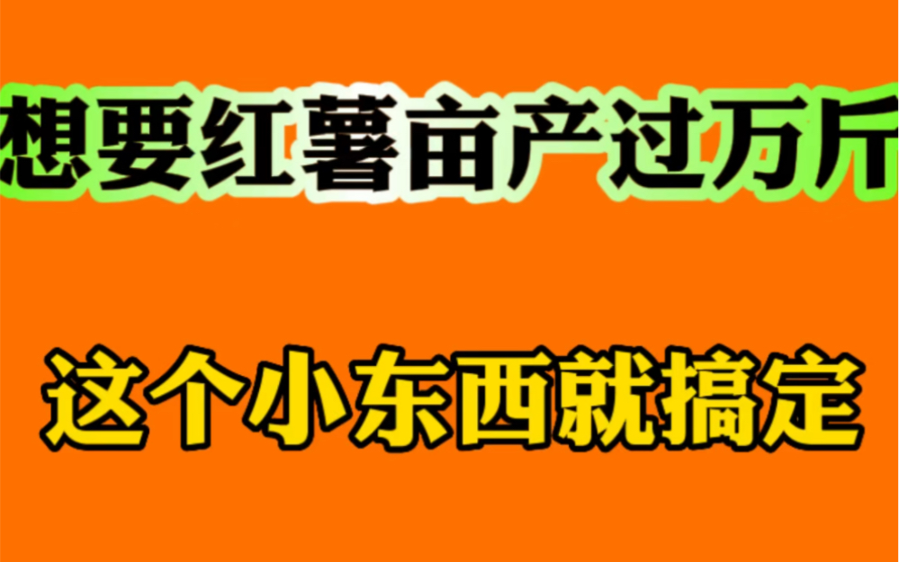 想要红薯亩产过万斤,这个小东西帮您来实现!哔哩哔哩bilibili