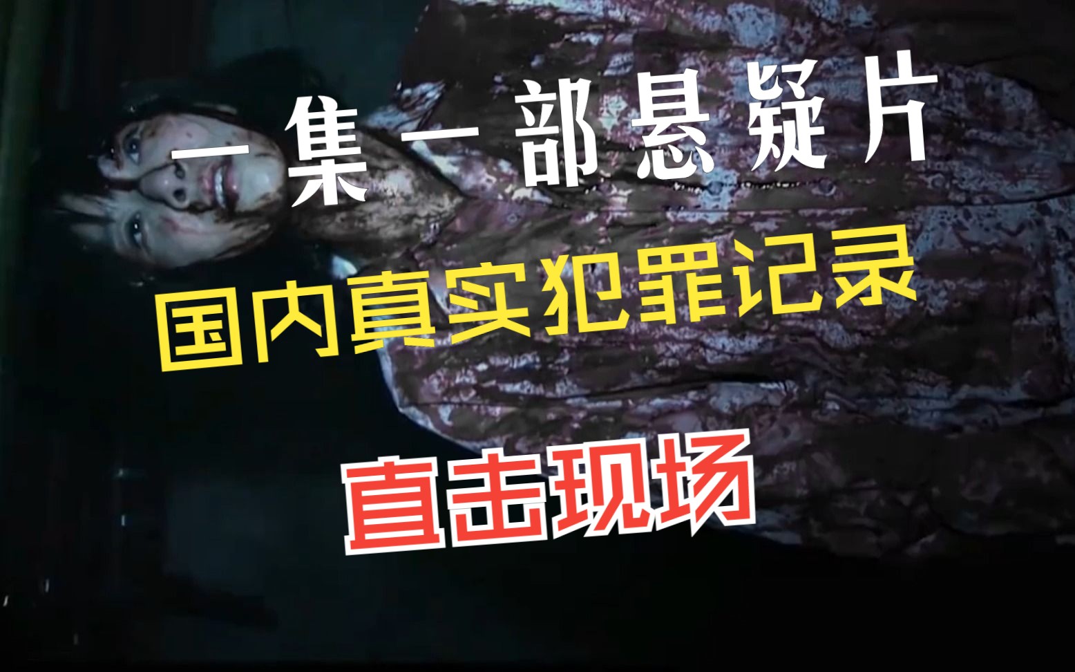 一集一部悬疑片,国内真实罪案记录,直击真实现场!哔哩哔哩bilibili