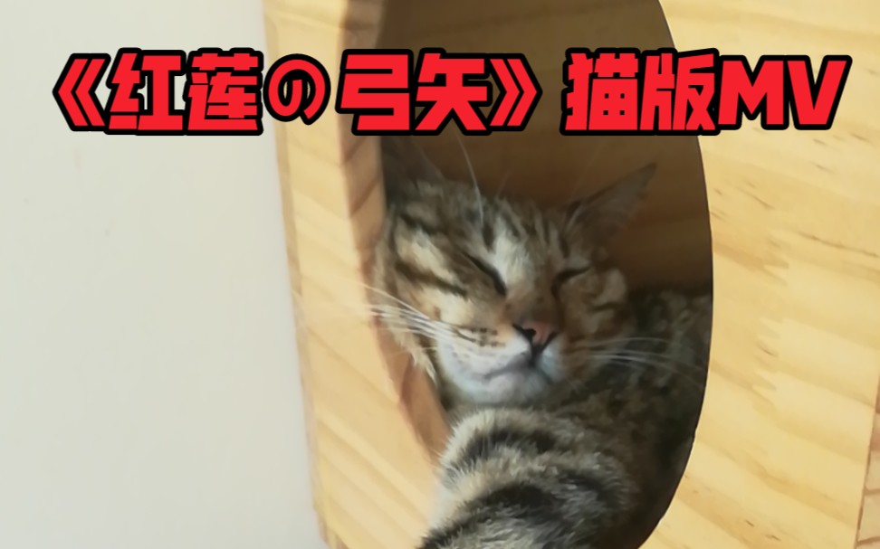 【生草MV】燃nm,草起来了!进 击 の 猫 猫哔哩哔哩bilibili