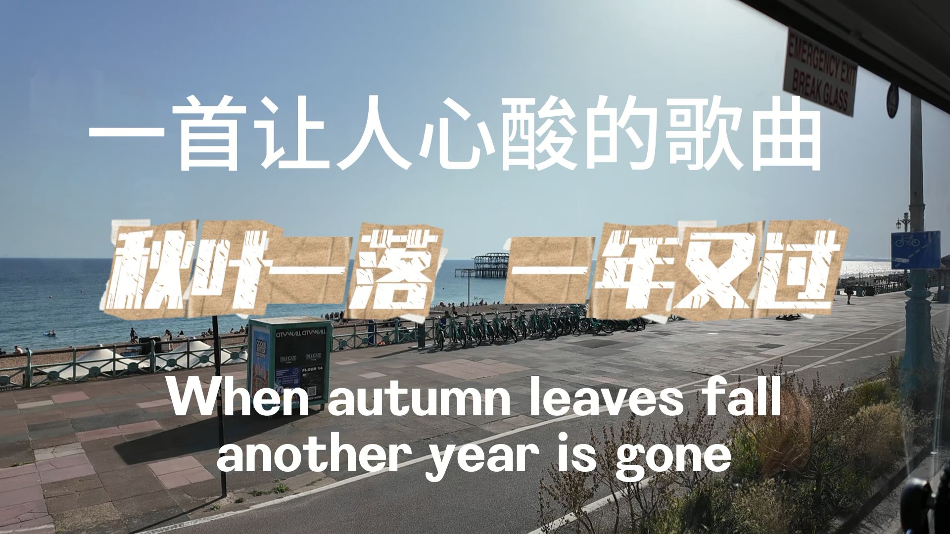 秋叶一落一年又过