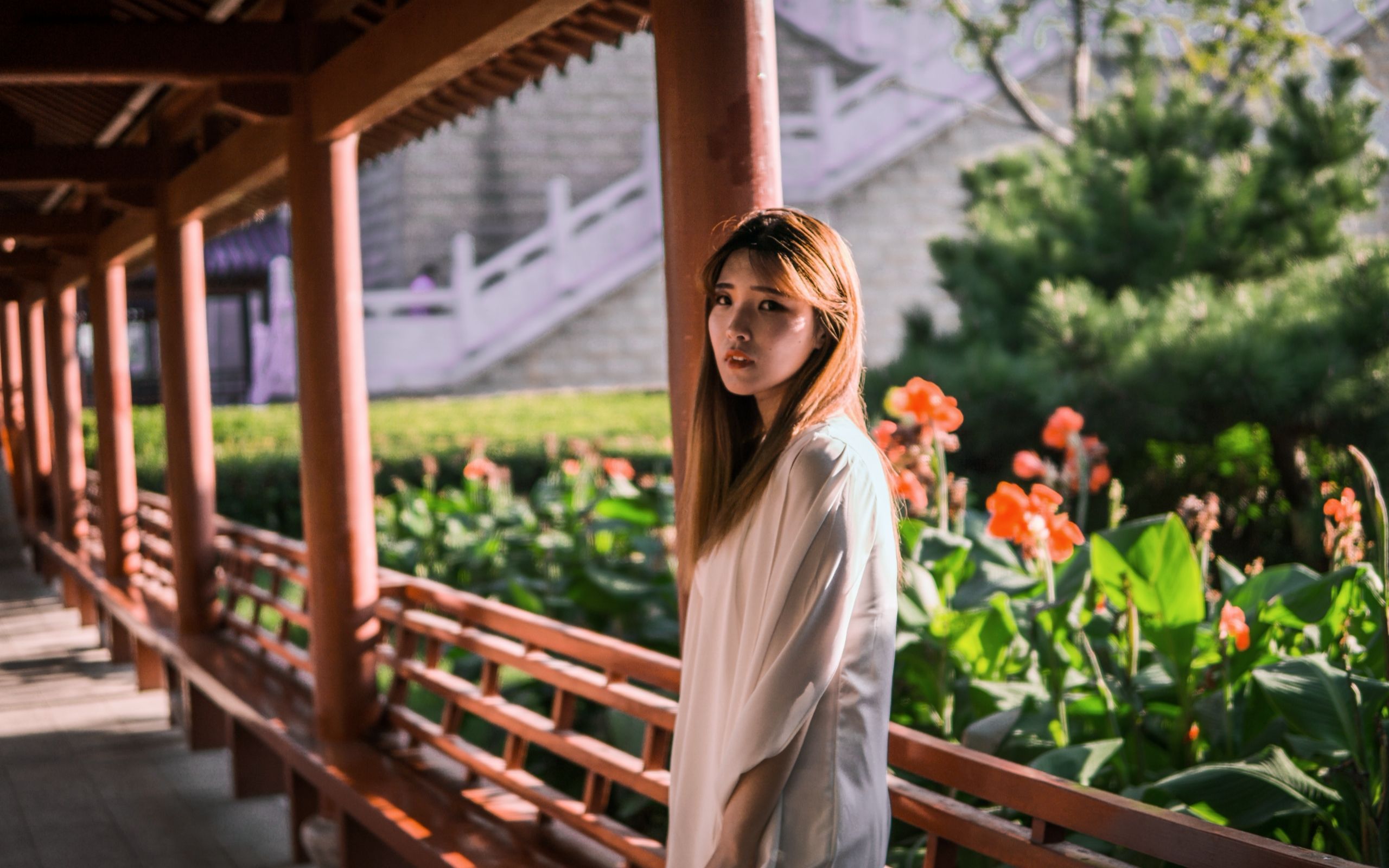 【video cover】琼花房mv 一首歌 一位二八少女