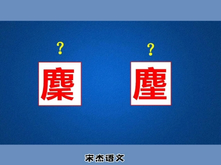 “麇”和“麈”这两个形近字该如何区分?哔哩哔哩bilibili