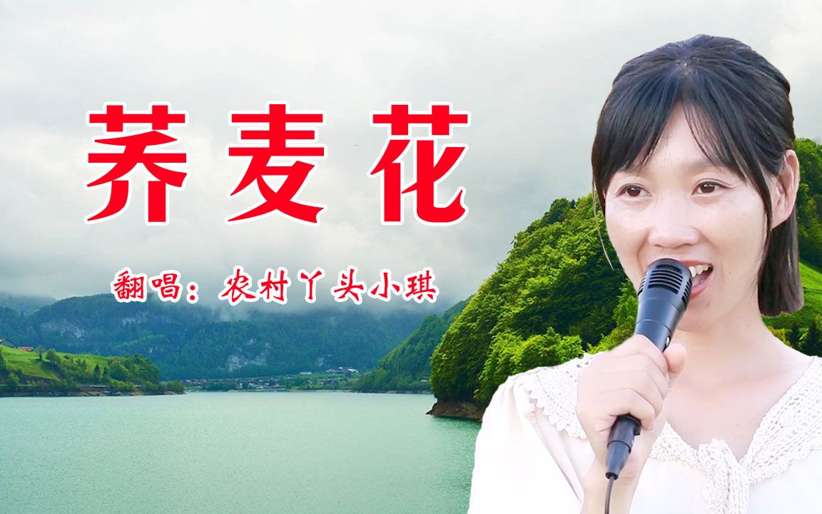 陕北民歌《荞麦花》,民俗歌曲就是耐听,音色真好