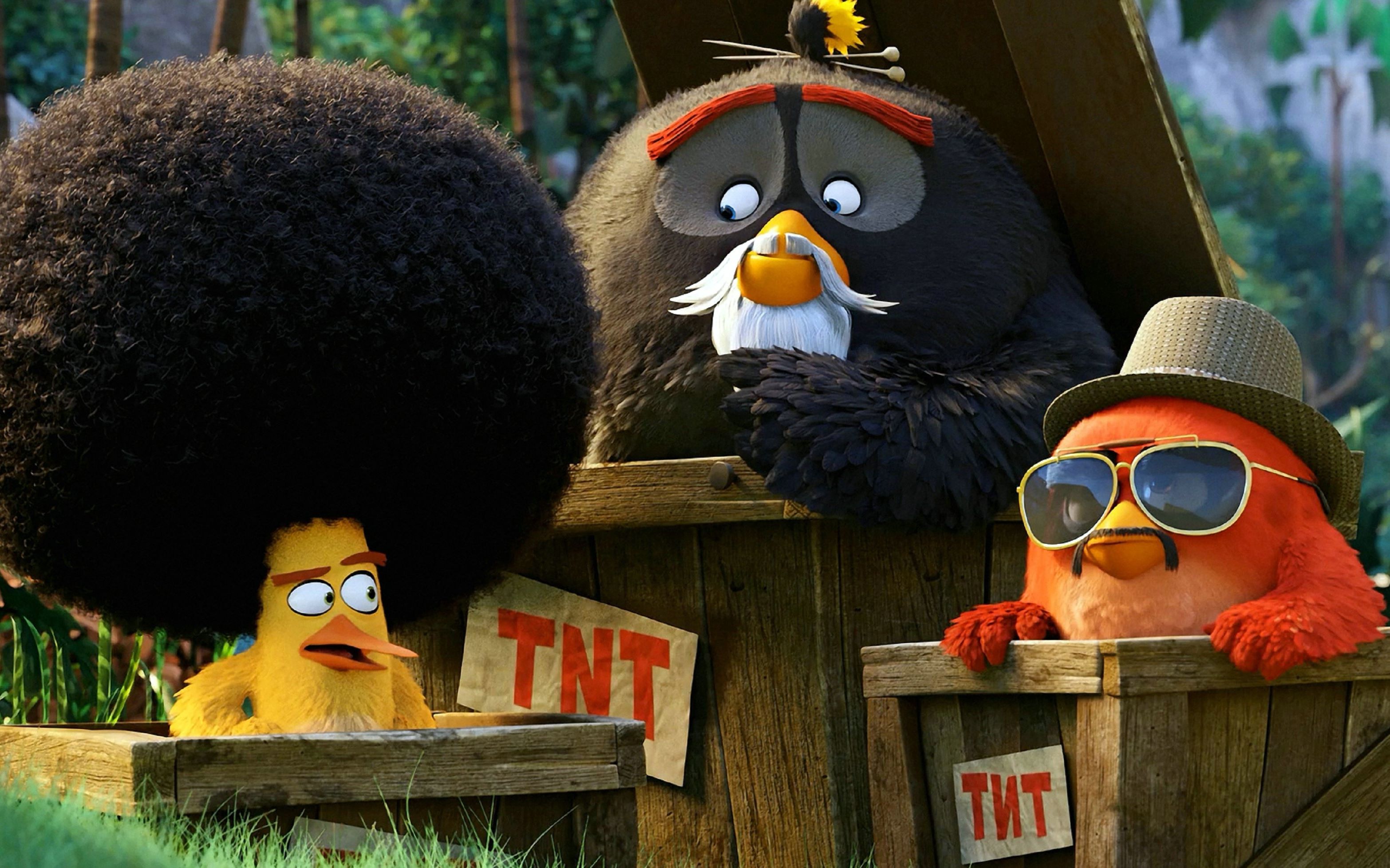 【愤怒的小鸟】超治愈_哔哩哔哩 (゜-゜)つロ 干杯~-bilibili