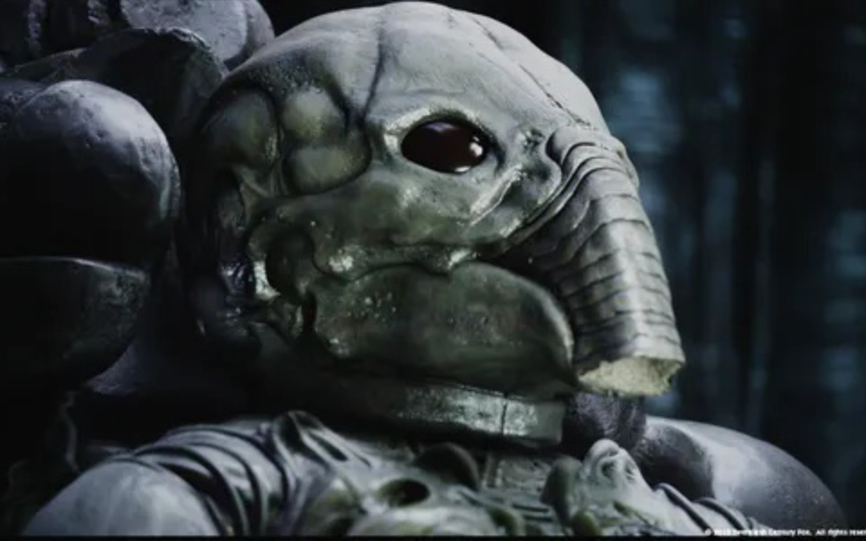 第一次接触作死