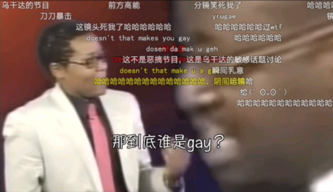 [图]Why R U Gae？（弹幕灵魂版）