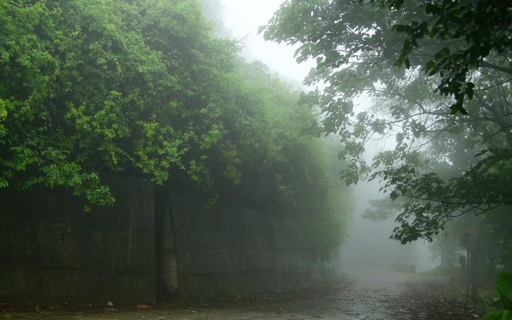 [图]超高清视频素材合集-下雨7