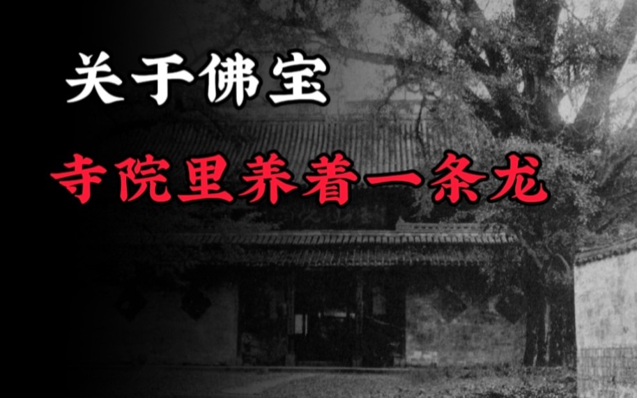 【民间故事】关于佛宝的故事,有一座寺院里还养着一条龙!!!!哔哩哔哩bilibili