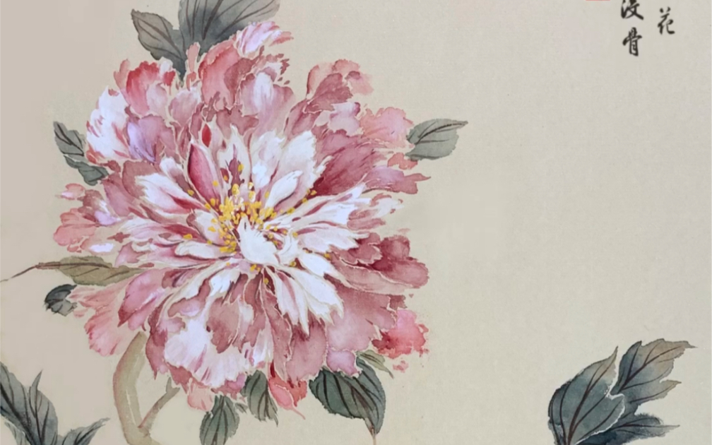 第89集|国画二乔牡丹的写意没骨画视频