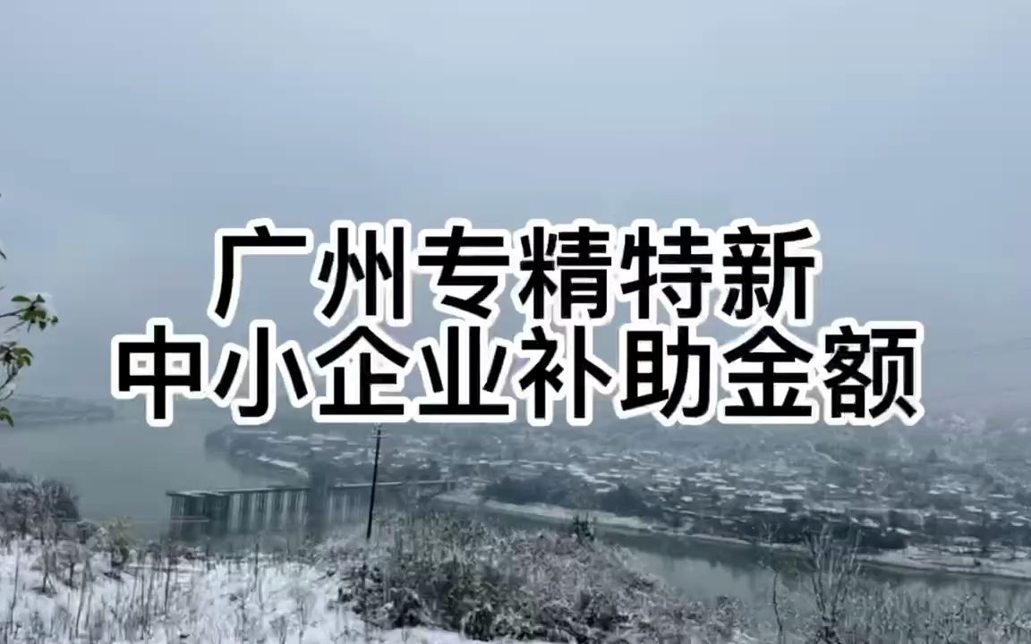 广州专精特新中小企业补助金额哔哩哔哩bilibili