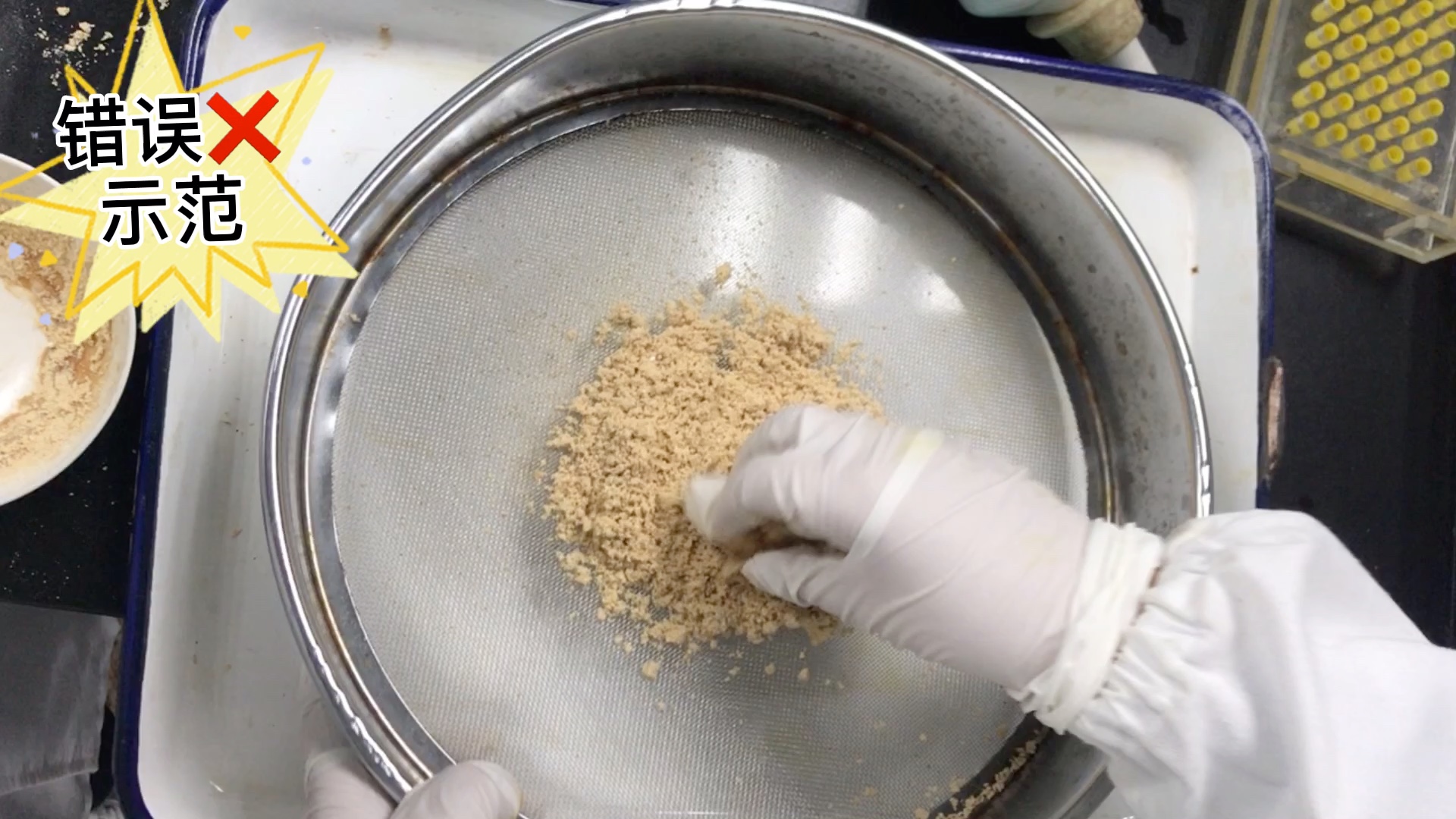 小药丸的日常,来康康板蓝根胶囊是如何制作的?