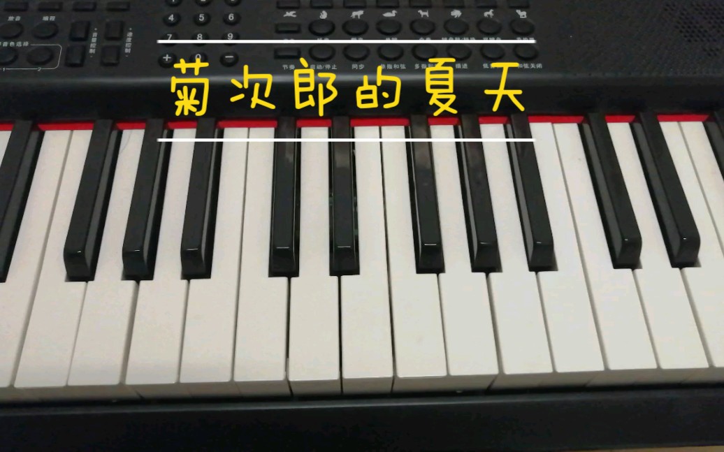 summer200块塑料电子琴自学版