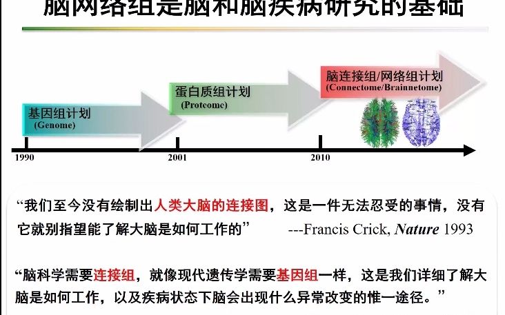 脑网络组图谱:脑科学与人工智能融合的桥梁中科院自动化所蒋田仔哔哩哔哩bilibili