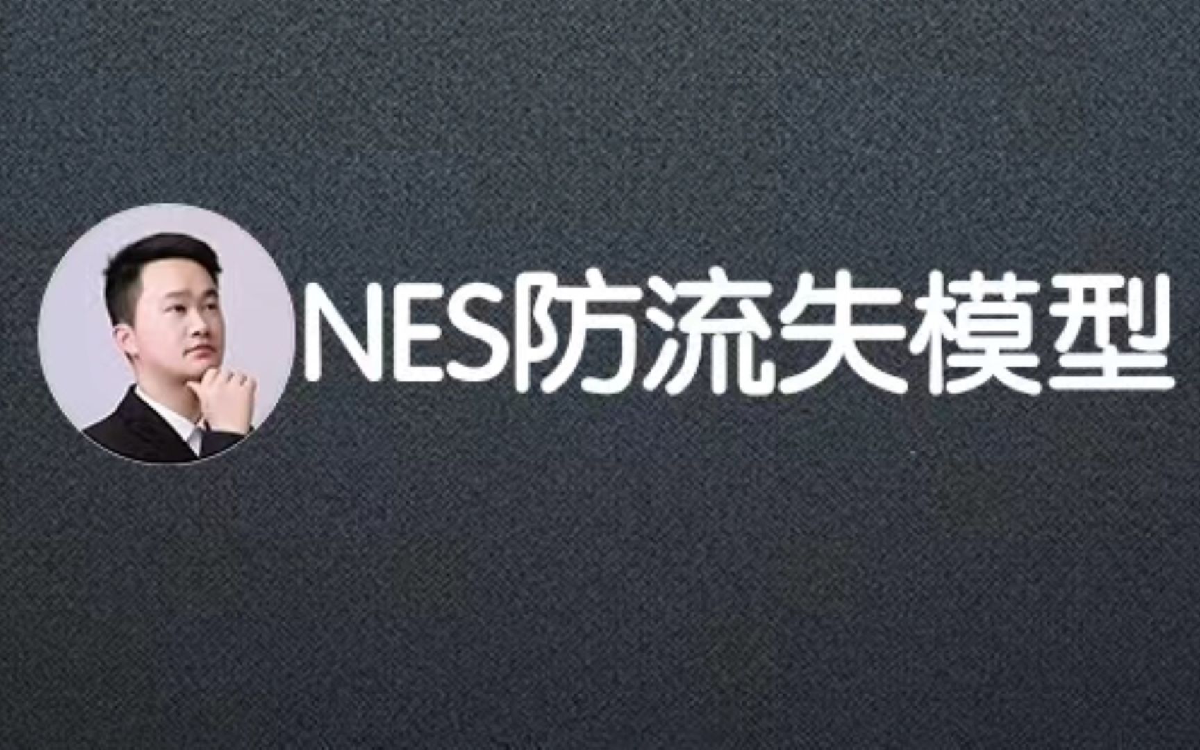 NES模型哔哩哔哩bilibili