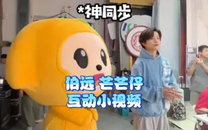 Download Video: 伯远和芒芒仔互动小视频，太萌啦！是谁羡慕了我不说