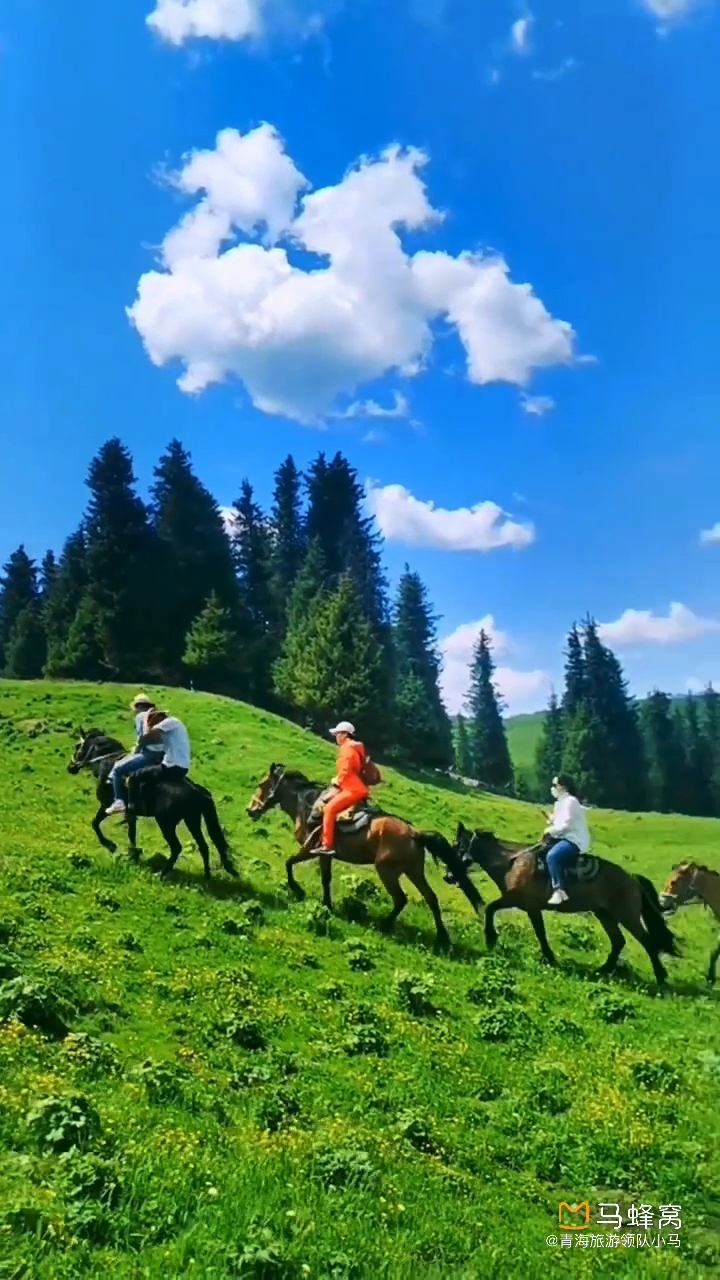 走:骑马带你看新疆抖音旅行 我的草原我的
