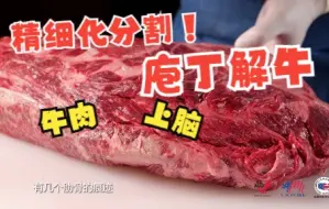 Download Video: 【肉品切割】牛肉上脑的多样化分切应用