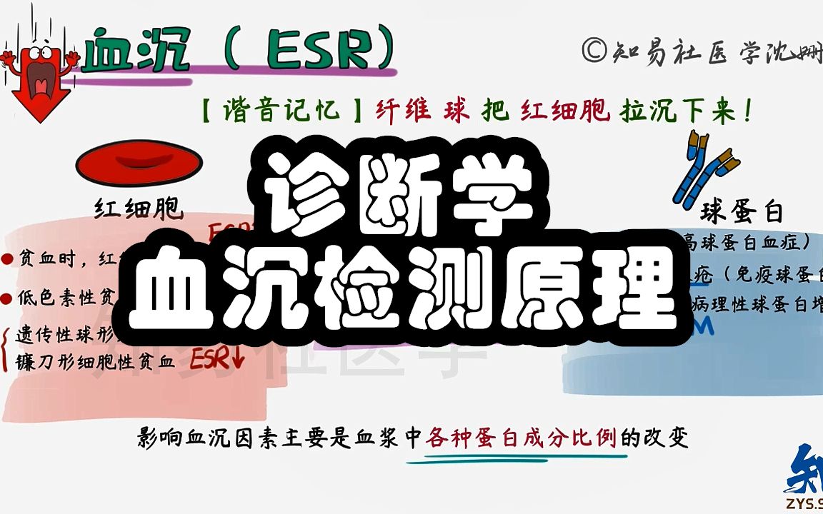 诊断学带背 血沉(ESR)检测的原理和临床意义哔哩哔哩bilibili