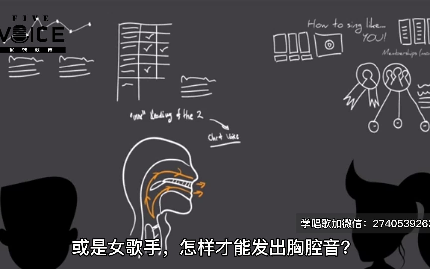 【布雷特·曼宁】胸声&头声的练习