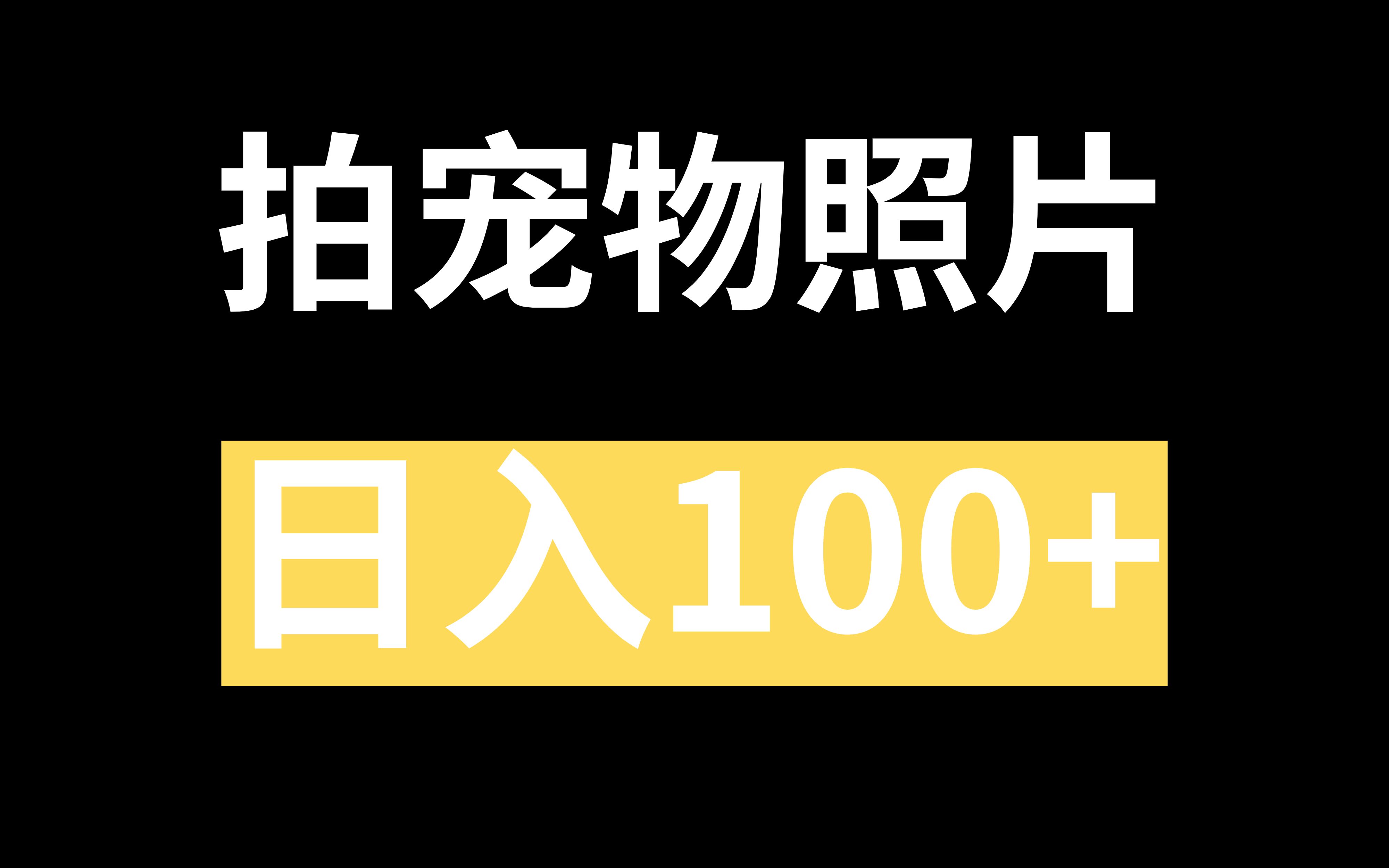 拍宠物照片,日入100+,新手小白轻松入手哔哩哔哩bilibili