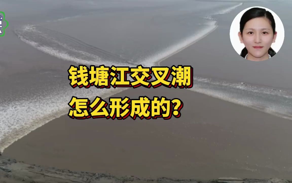 钱塘江交叉潮是怎么形成的?哔哩哔哩bilibili