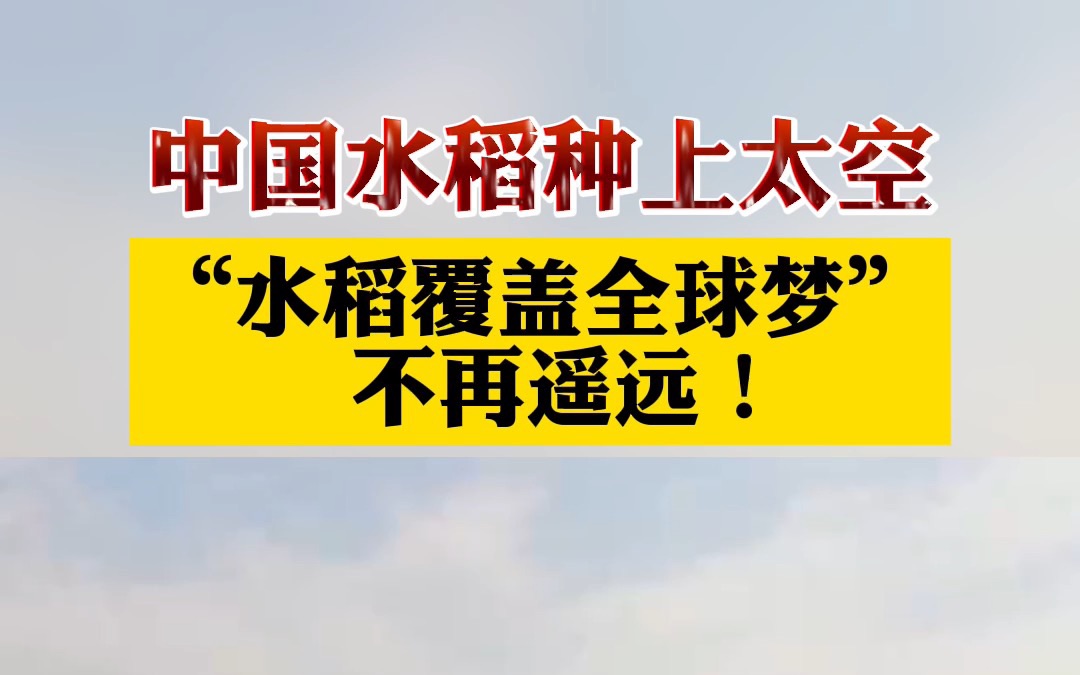 [图]中国水稻种上太空！“水稻覆盖全球梦”不再遥远！