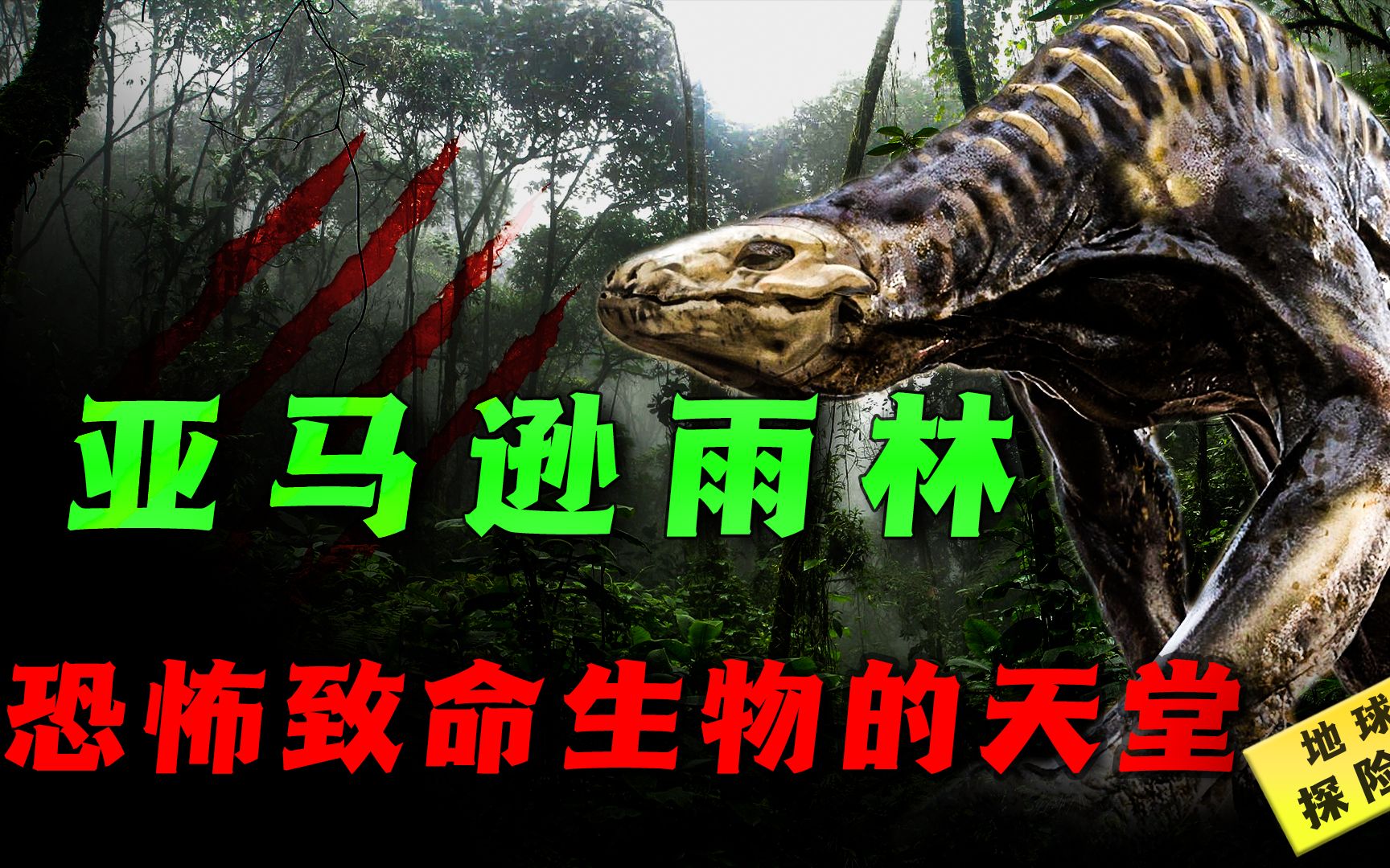 充满未知危险的人类禁区神秘的亚马逊雨林为什么会那么可怕