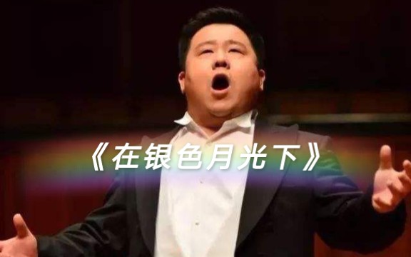 【美声】原来大号男高也可以这么柔情!哔哩哔哩bilibili